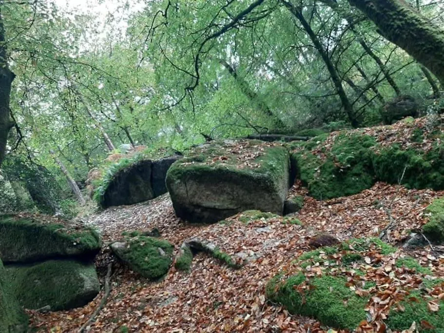 Gite Chaumiere De Floranges 6 Personnes Morbihan La Chapelle-Neuve  La Chapelle-Neuve (Morbihan)